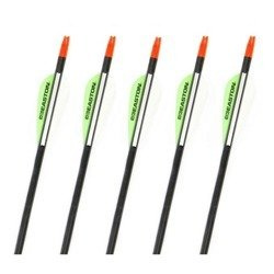 Karbonpfeil Easton PowerFlight Green 5szt spin 300, 340, 400, 500