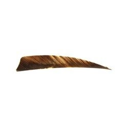 Gateway Shield 3" Tre natural darts