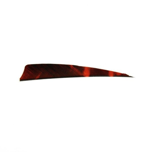 Natural Feather Gateway Shield 4"
