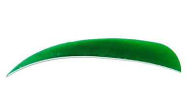Vane Bearpaw 5" Shield RW White