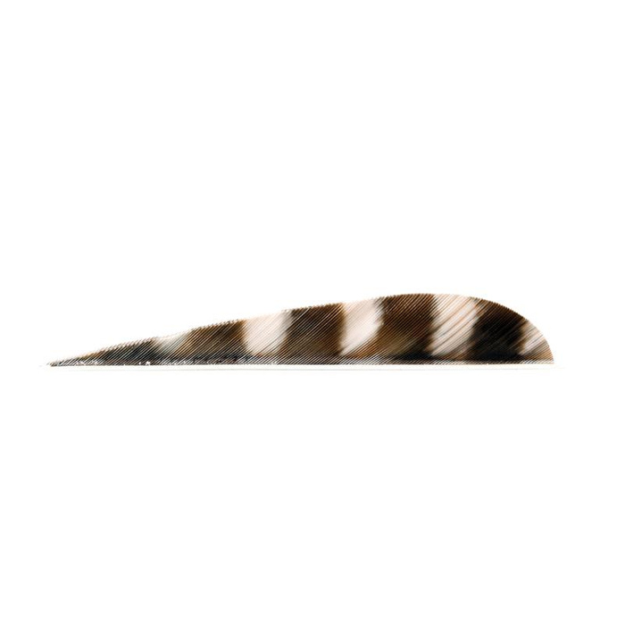 Trueflight Feathers 4″ Parabolic RW Barred – Lotka Naturalna 4″ Parabolic Prawoskrętna z Paskami