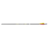 Easton Carbon X10 Protour – Promień Karbonowy Premium do Strzał Turniejowych