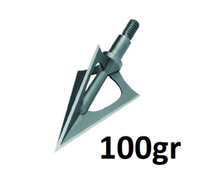 100gr