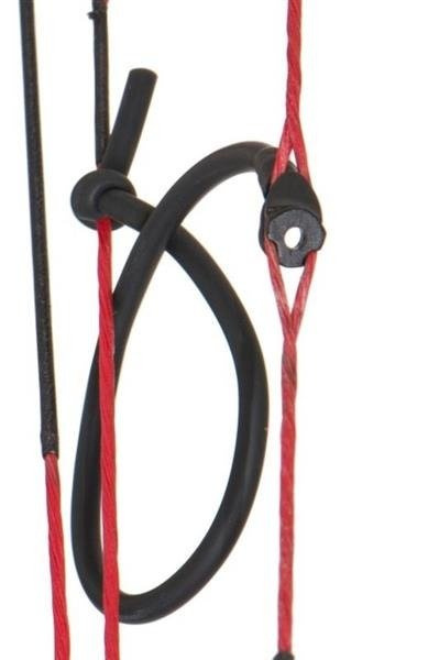 Peep Sight Maximal with elastic band