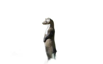 NATUR FOAM 3D TARGET WEASEL - STANDING