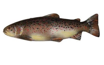 NATUR FOAM 3D TARGET TROUT