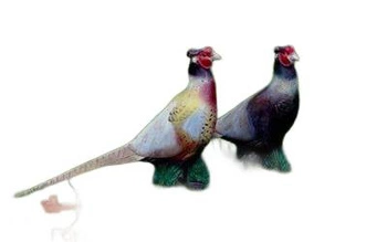 NATUR FOAM 3D TARGET PHEASANT