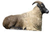 SRT 3D TARGET HIMALAYAN TAHR BEDDED - GROUP 1 - L108m H74cm