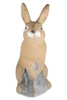 3D INTERNATIONAL 3D TARGET BUNNY