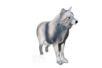 NATUR FOAM 3D TARGET ARCTIC WHITE WOLF - STANDING