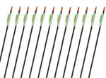 Easton PowerFlight Green arrow 12 vnt