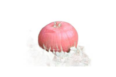 BEIER 3D TARGET PUMPKIN : L23 x W23 x H19cm