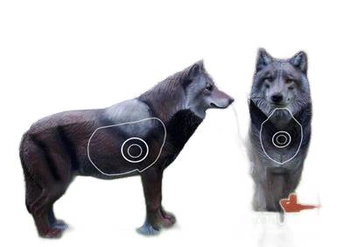 NATUR FOAM 3D TARGET WOLF - STANDING