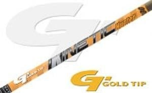 GT Kinetic Schaft