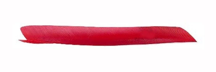 Lotki naturalne Gateway 8-10"