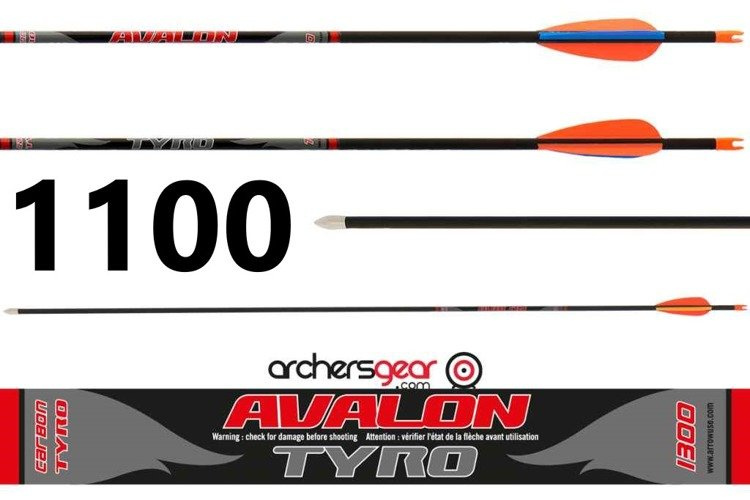 Avalon Tyro Arrow