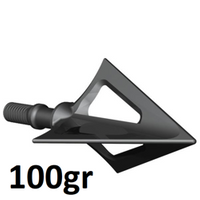 100gr