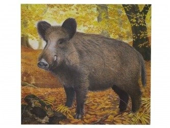 Paper disk - JVD - Wild boar