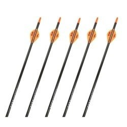 Karbonpfeil Easton PowerFlight Fox 5szt spin 300, 340, 400, 500