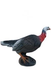 WILD LIFE 3D TARGET TURKEY ALERTED / - DIM:68x82x27CM GROUP 3