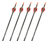 Easton PowerFlight Dragon arrow 5 vnt
