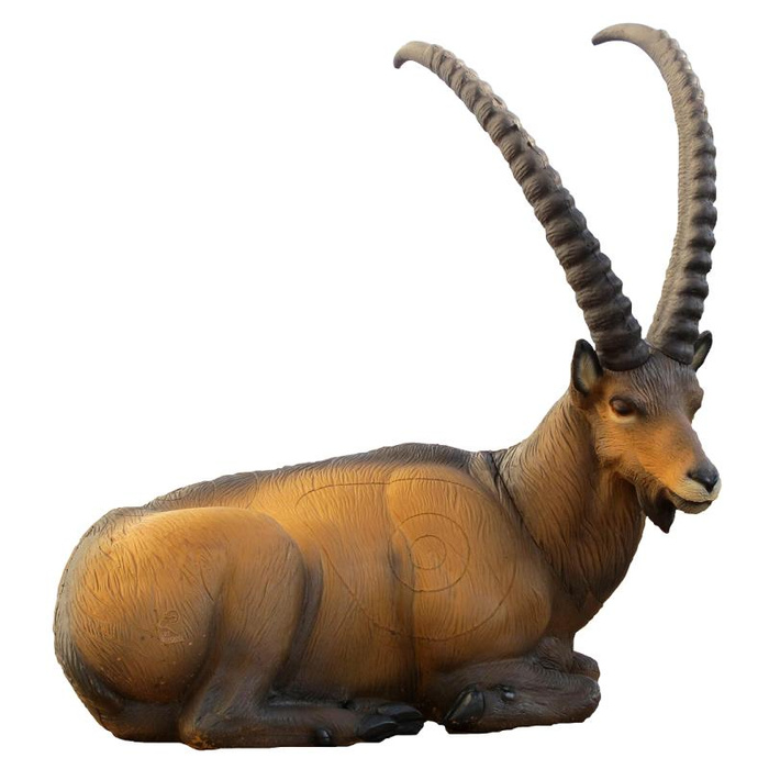 SRT Target 3D Ibex bedded