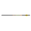 Black Eagle Bolt Carbon Fletched Zombie Slayer .003"