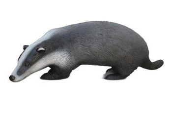 SRT 3D TARGET BADGER - GROUP 3 - L80cm H40cm