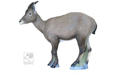 SRT TARGETS 3-D IBEX FEMINA - GROUP 2 - L100cm H94cm