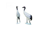 NATUR FOAM 3D TARGET JAPANESE CROWNED CRANE