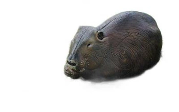 NATUR FOAM 3D TARGET BEAVER