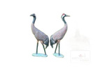 NATUR FOAM 3D TARGET RED-CROWNED CRANE