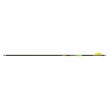 Gold Tip Shaft Carbon Series 22