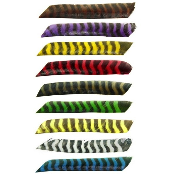 Lotka naturalna Trueflight 8-10" Barred (1szt)