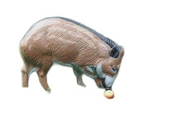 NATUR FOAM 3D TARGET WILD BOAR - GRUBBING