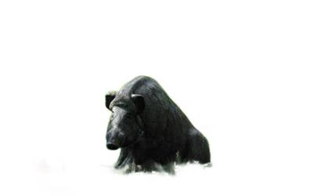 NATUR FOAM 3D TARGET WILD BOAR - SITTING