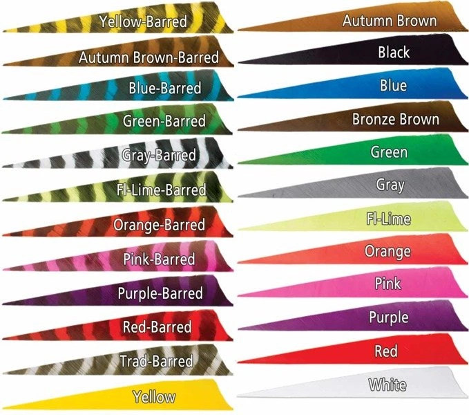 Gateway Shield 3" natural darts