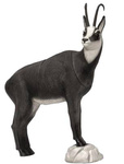 TARGETS 3-D CHAMOIS WINTER COLOR - GROUP 2 - L90cm H86cm