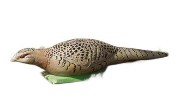 NATUR FOAM 3D TARGET PHEASANT - HEN