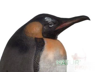 NATUR FOAM 3D TARGET PENGUIN EMPEROR