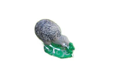 NATUR FOAM 3D TARGET KIWI