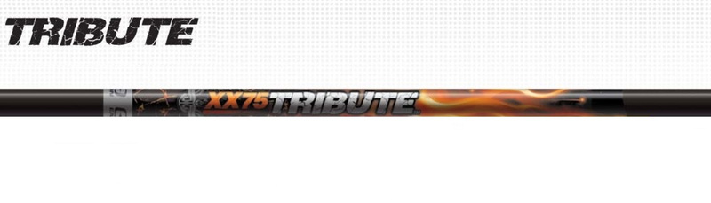 Easton XX75 Tribute beam