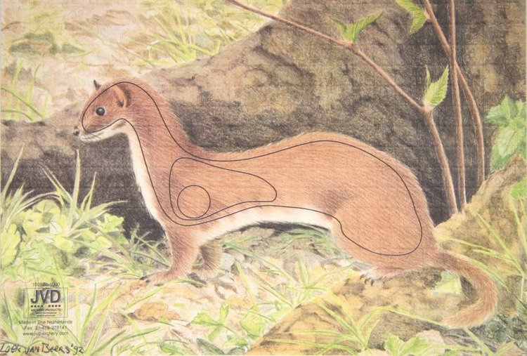 Zielscheibe 2D Wiesel