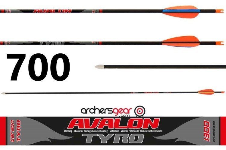 Strzała Avalon Tyro 