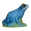 3Di Target 3D Frog - Cel 3D Żaba