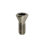 Gillo Limb Bolt Locking Screw Stainless Steel – śruba blokująca końcówki łuku ze stali nierdzewnej