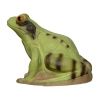 3Di Target 3D Frog - Cel 3D Żaba