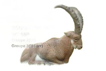 NATUR FOAM TARGETS 3-D IBEX - BEDDED