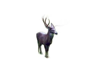 NATUR FOAM 3D TARGET MULE DEER