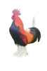 NATUR FOAM 3D TARGET GALLIC ROOSTER